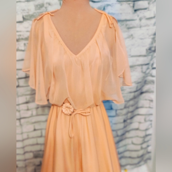 Vintage 70s melon Maxi Dress chiffon cape Super full   skirt shoulder ties SM - Picture 3 of 12